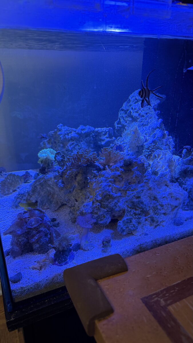 IMG_7381.jpeg