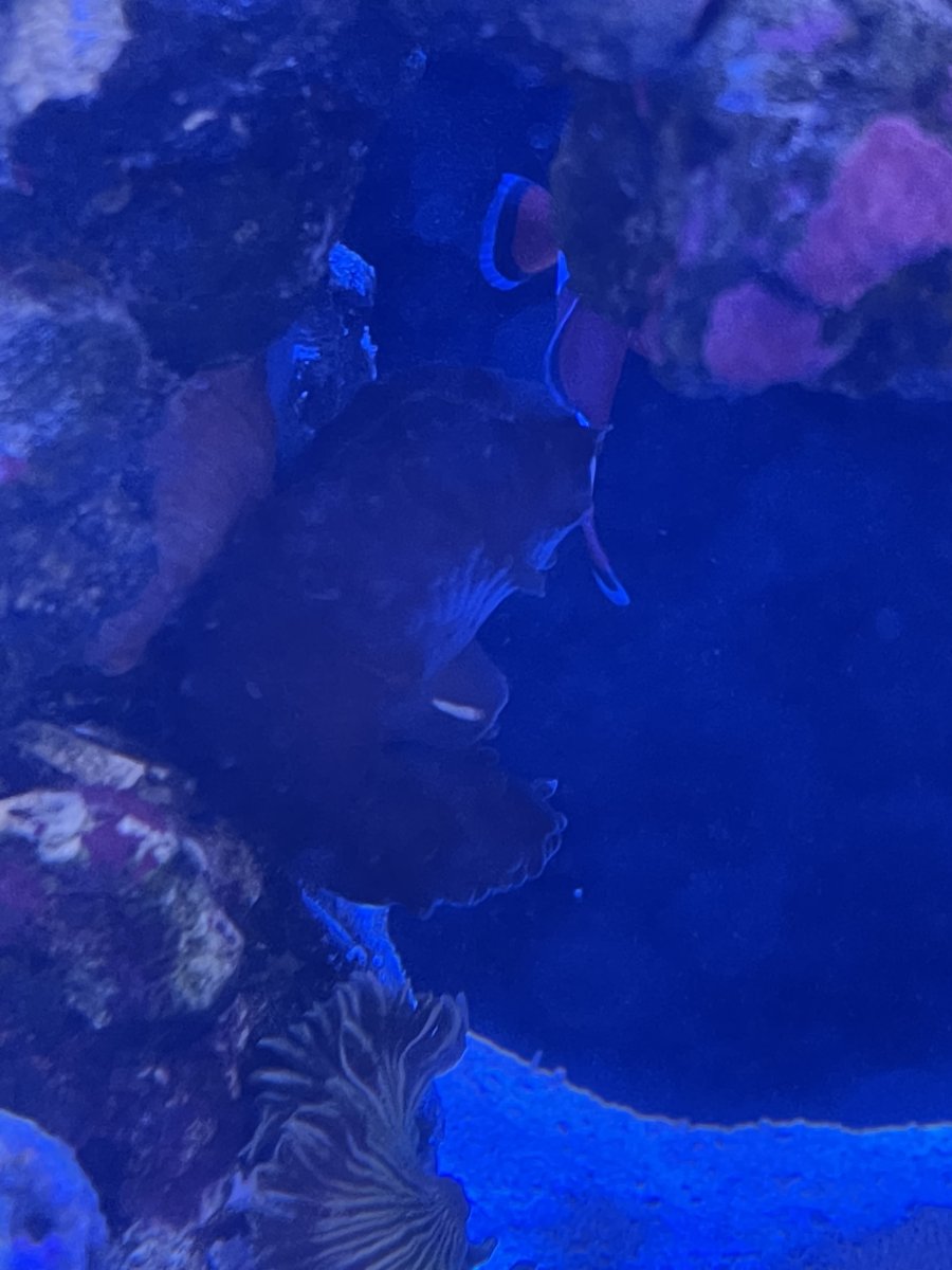 IMG_7383.jpeg