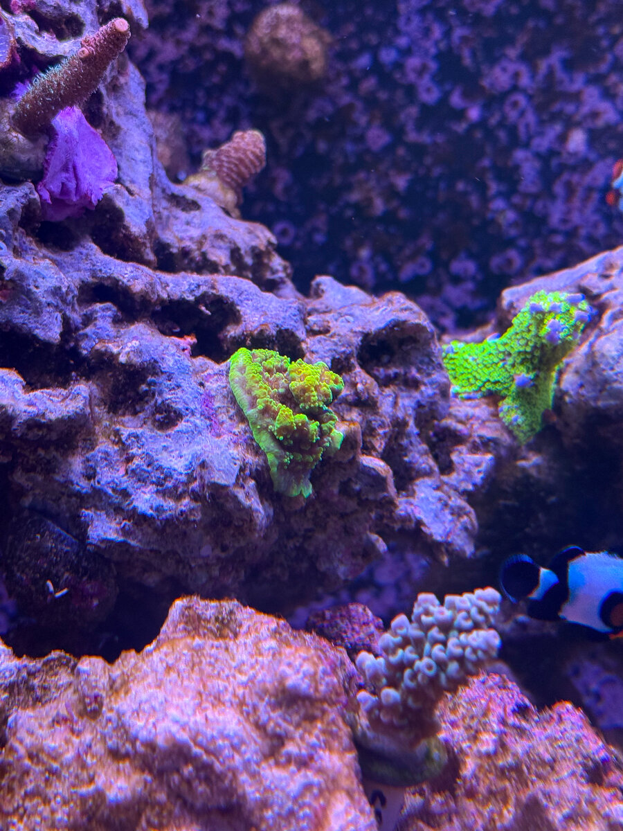 IMG_7391.jpeg