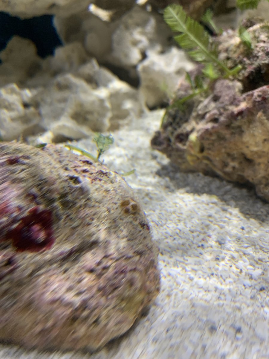 IMG_7399.jpeg