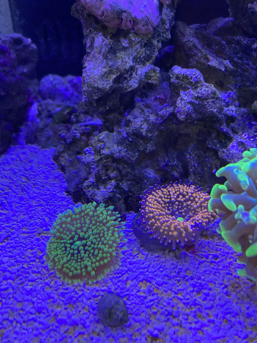 IMG_7407.jpeg