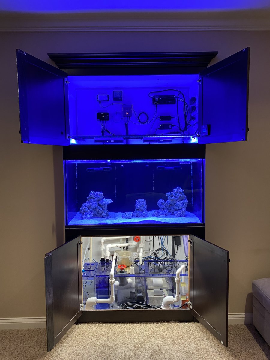 How Hard has it Been to Maintain Your Tank | REEF2REEF Saltwater and ...