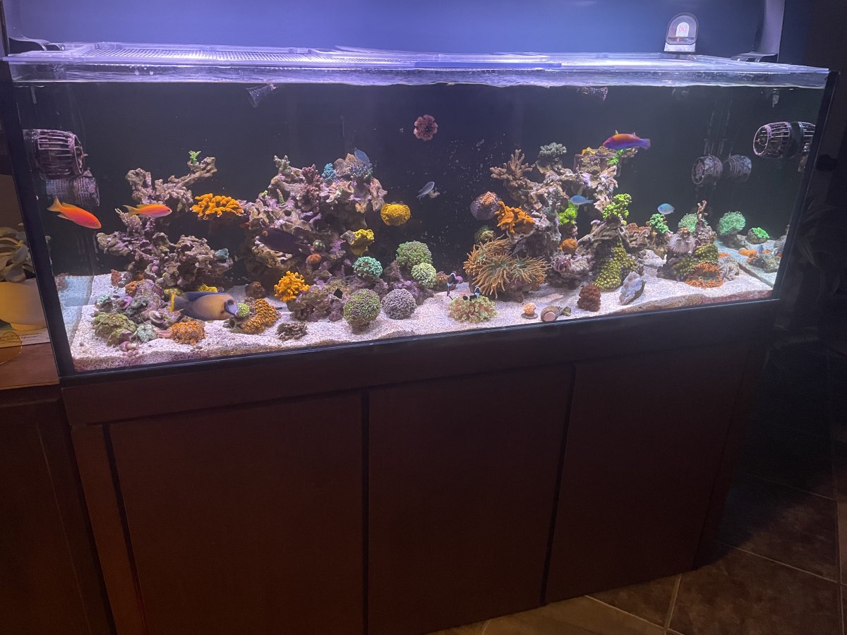 IMG_7432.jpeg