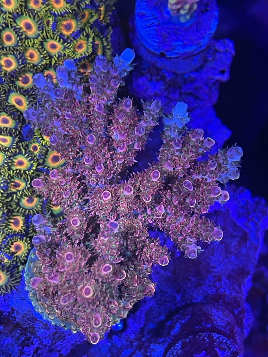 IMG_7442.jpeg