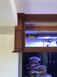 IMG_7454.jpeg