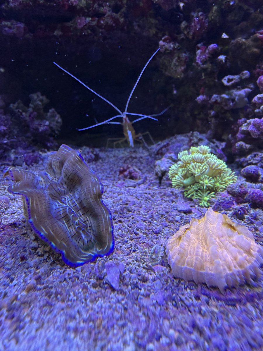 IMG_7462.jpeg