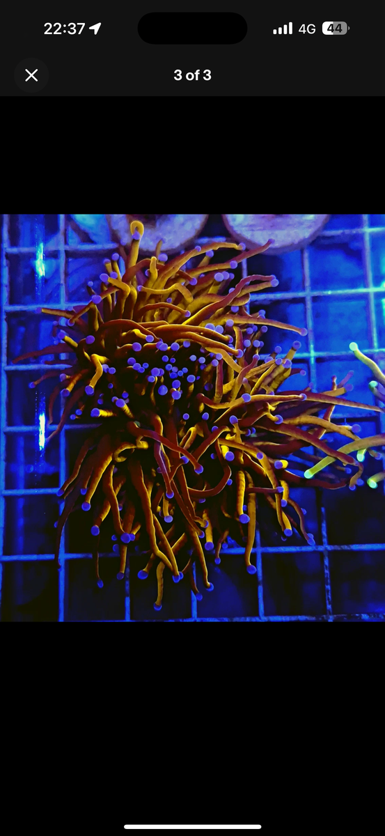 IMG_7468.png