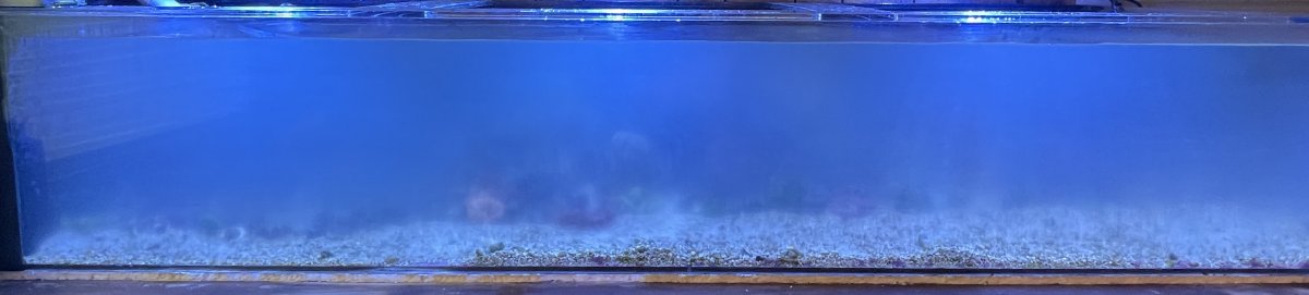 IMG_7473.jpg