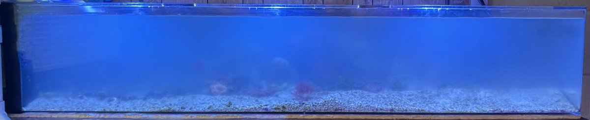 IMG_7474.jpg