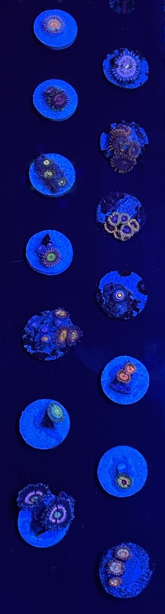 IMG_7476.jpeg