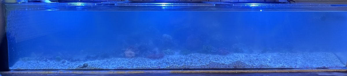 IMG_7476.jpg