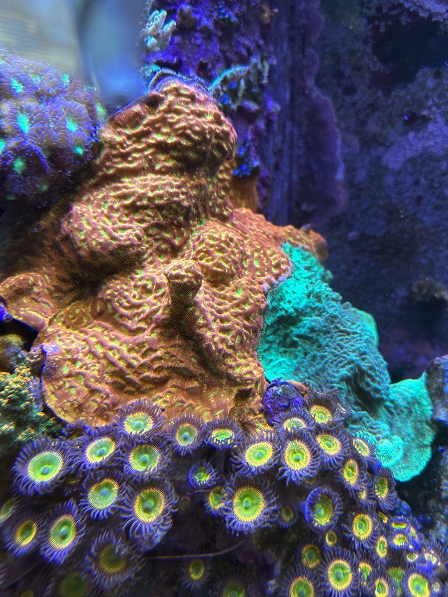IMG_7480.jpeg