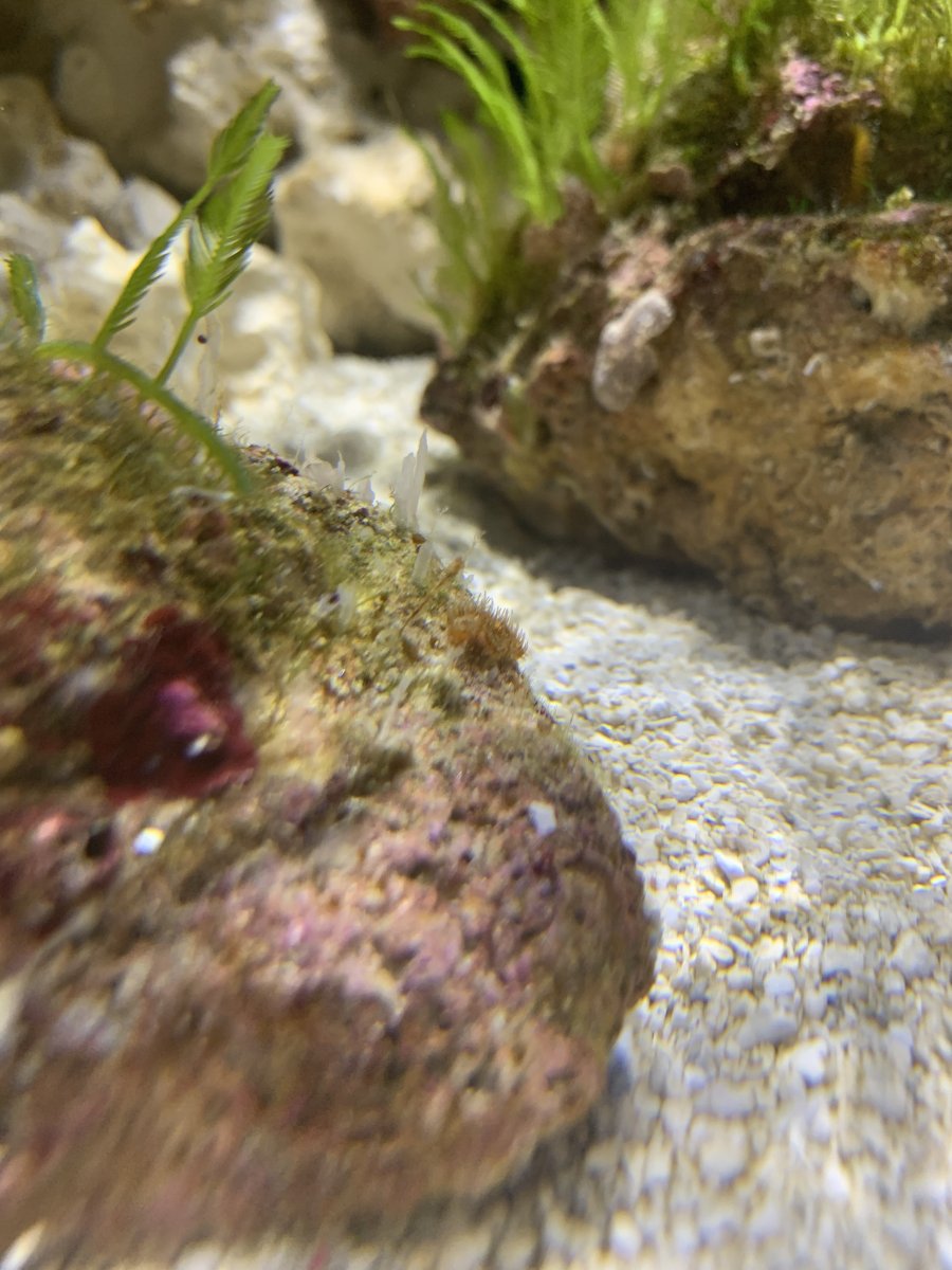 IMG_7501.jpeg