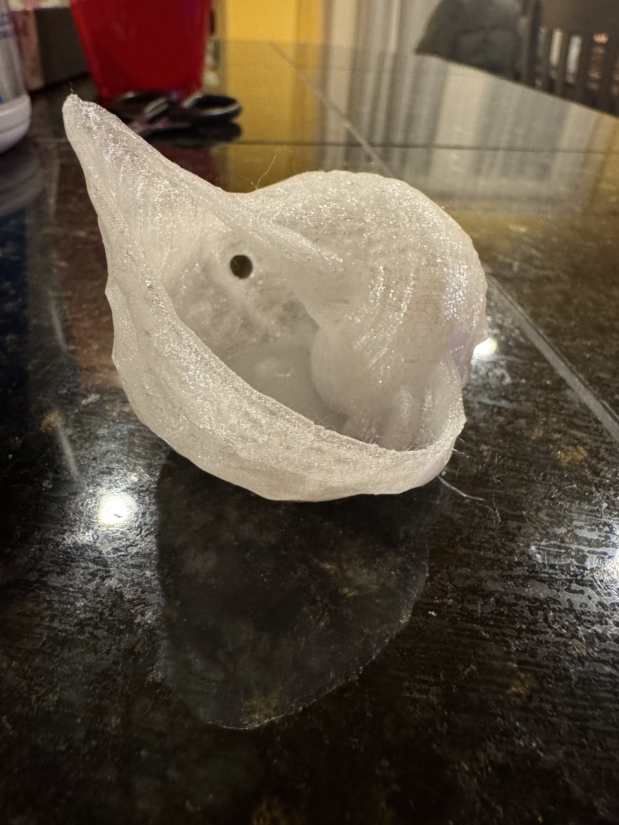 Washington - Miscellaneous - Dry Goods - Anemone Nest Shell - 3D ...