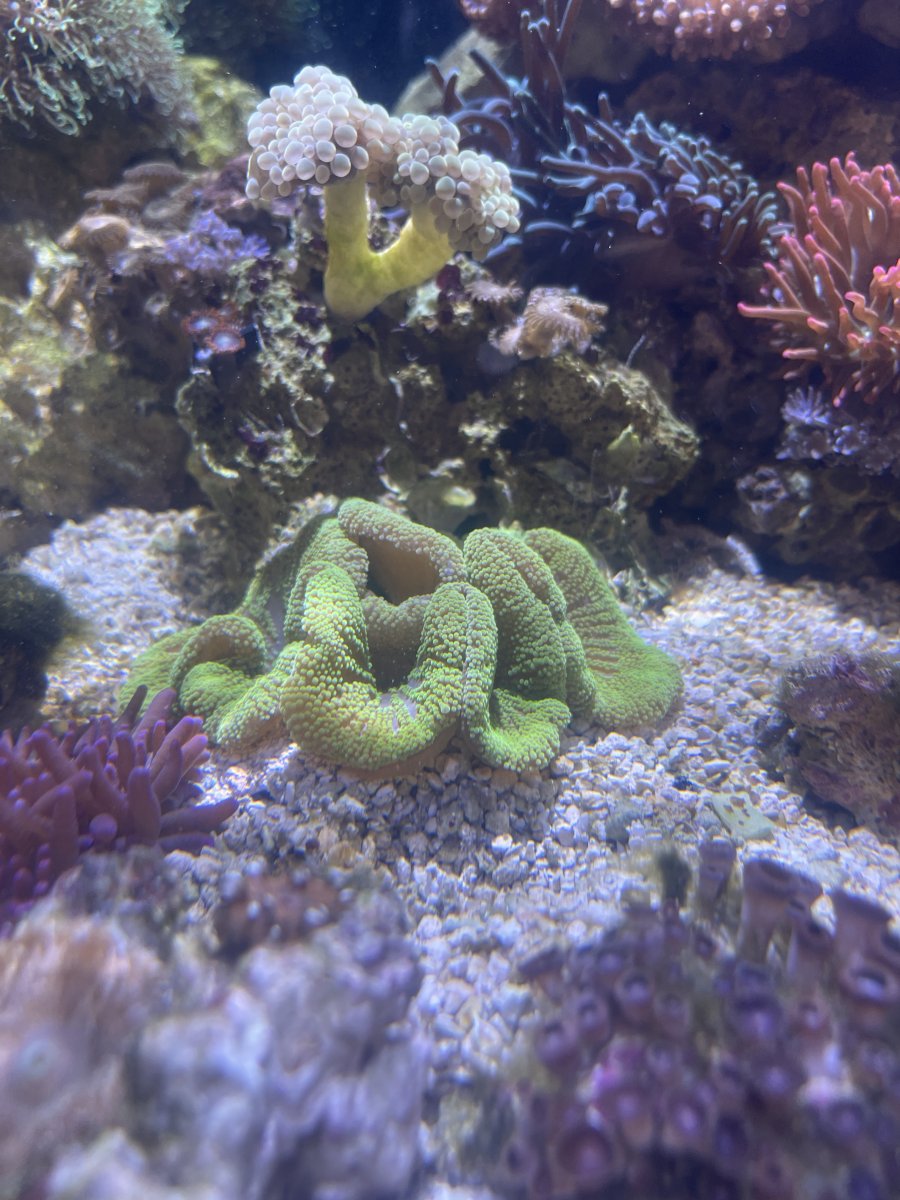 IMG_7518.JPG