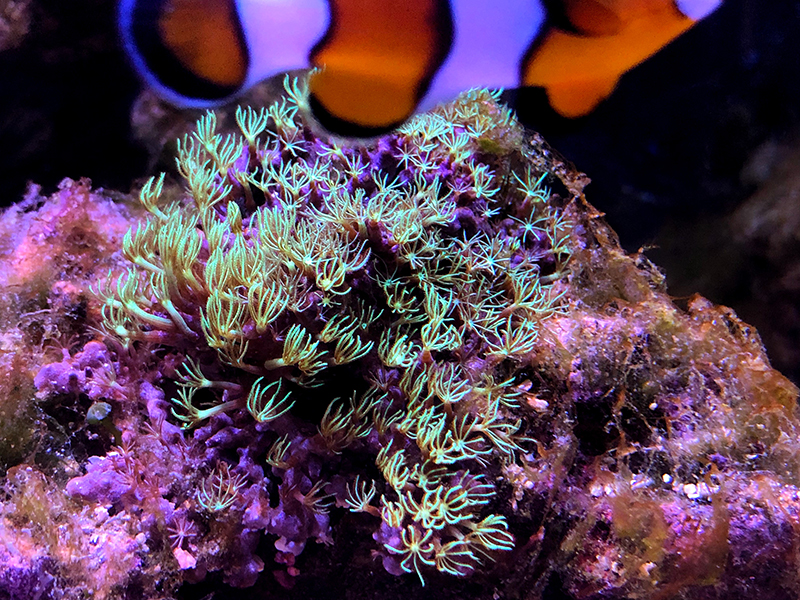 IMG_7522.jpg