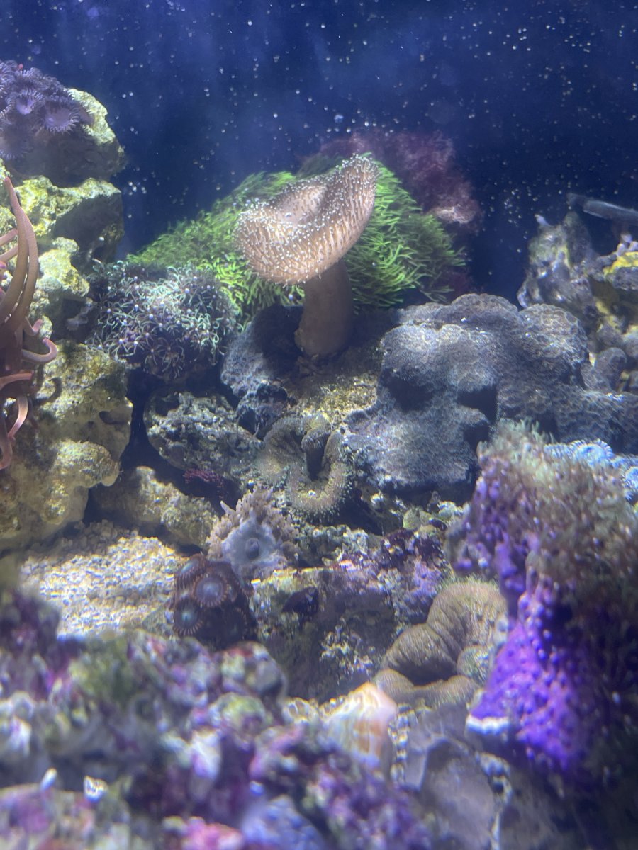IMG_7527.JPG