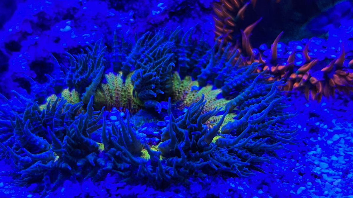 IMG_7553 3.jpeg