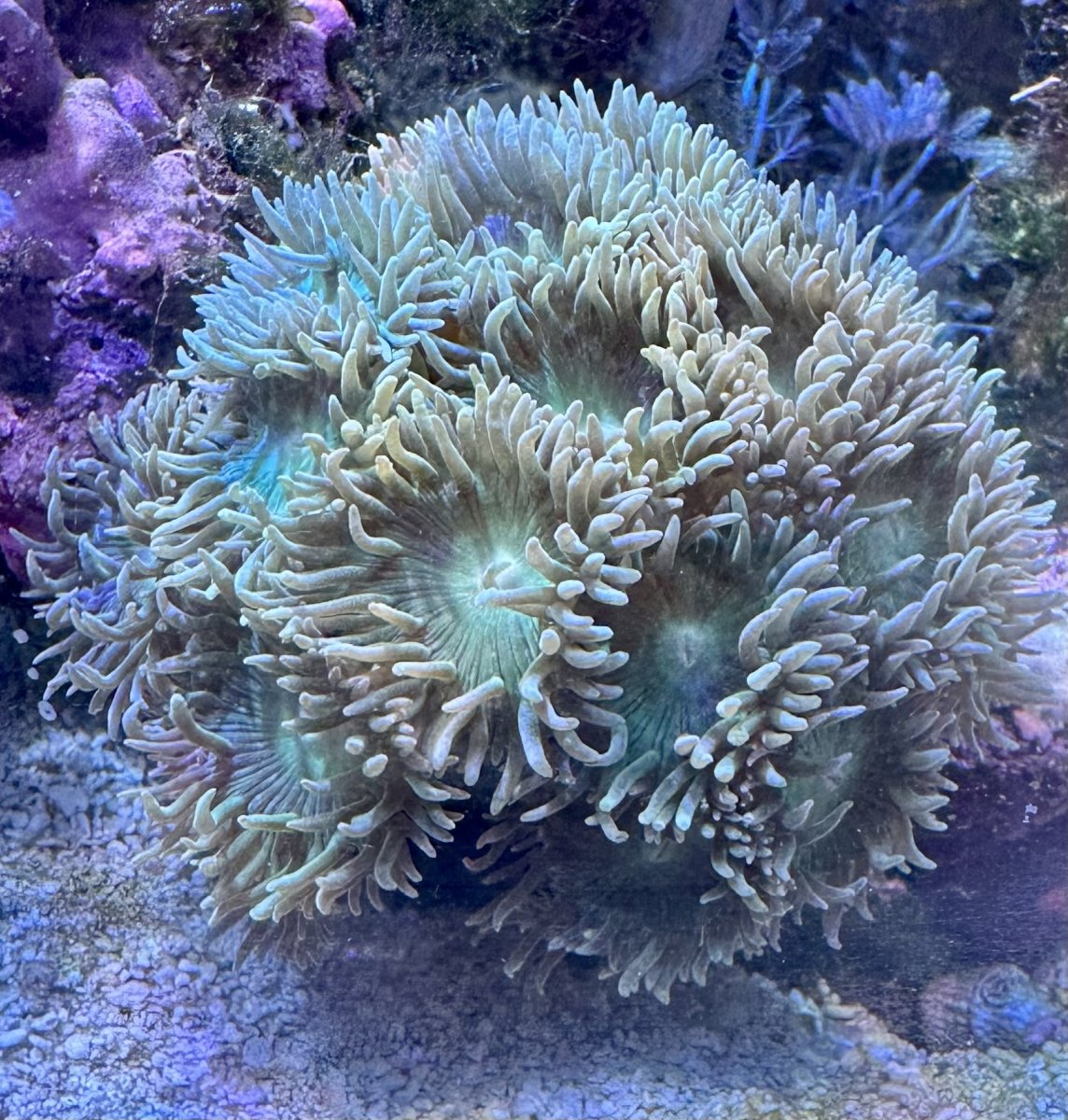 IMG_7560.jpeg