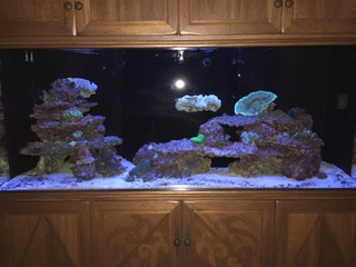 IMG_7567.jpeg