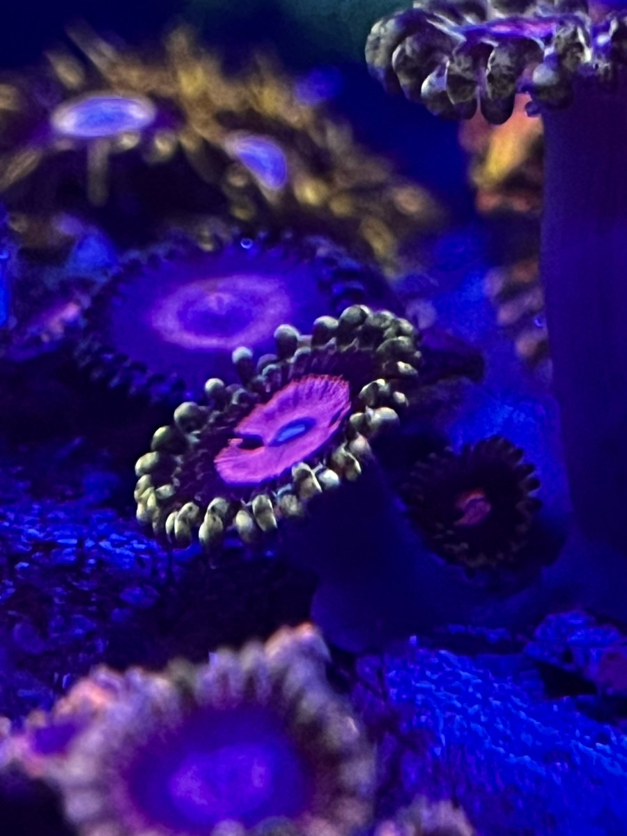 IMG_7573.jpeg