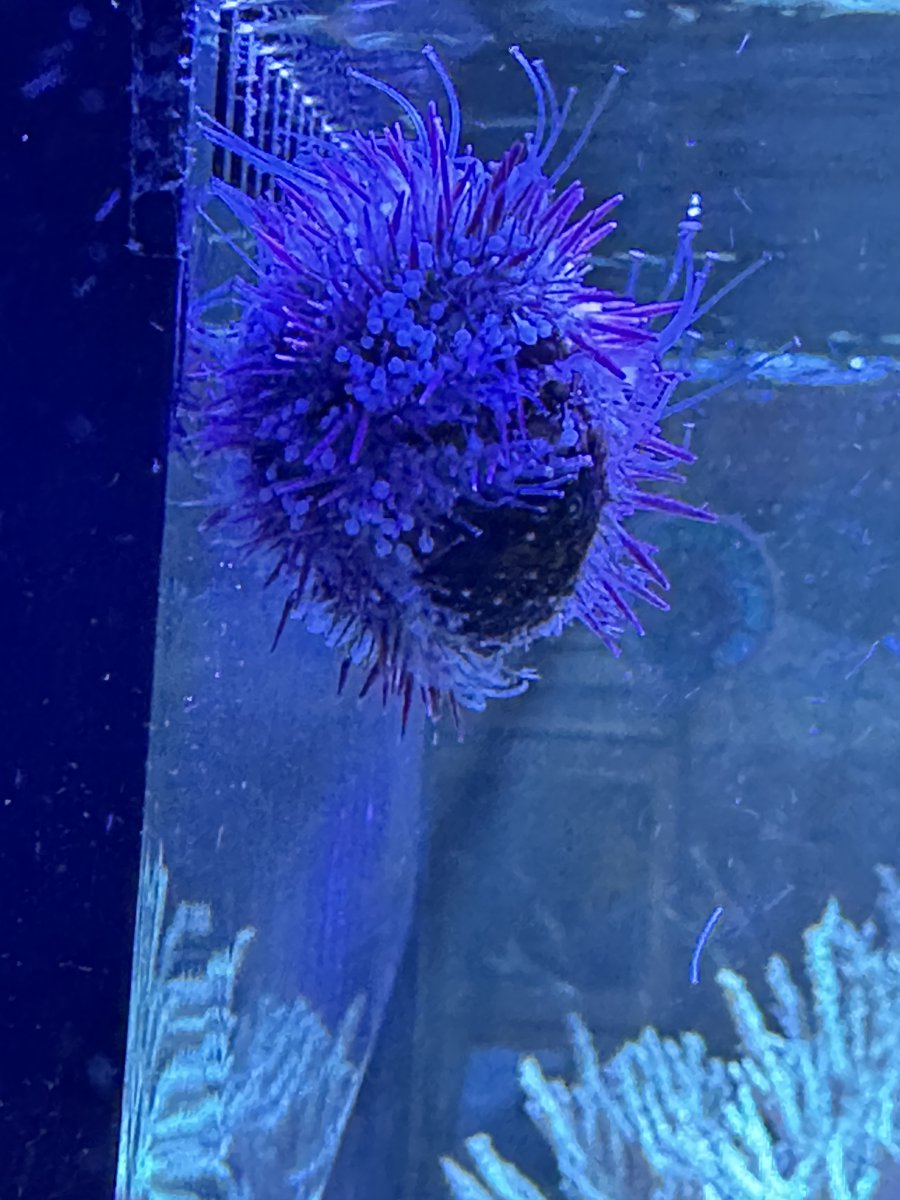 IMG_7594.jpeg