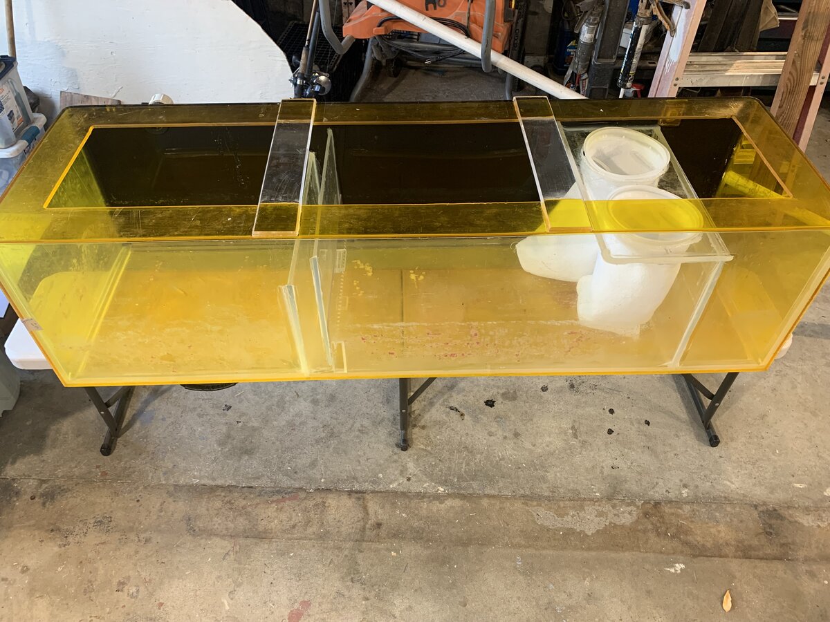 IMG_7619.jpeg