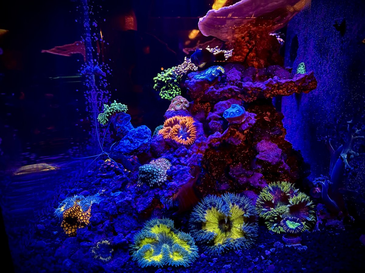 IMG_7652.jpeg
