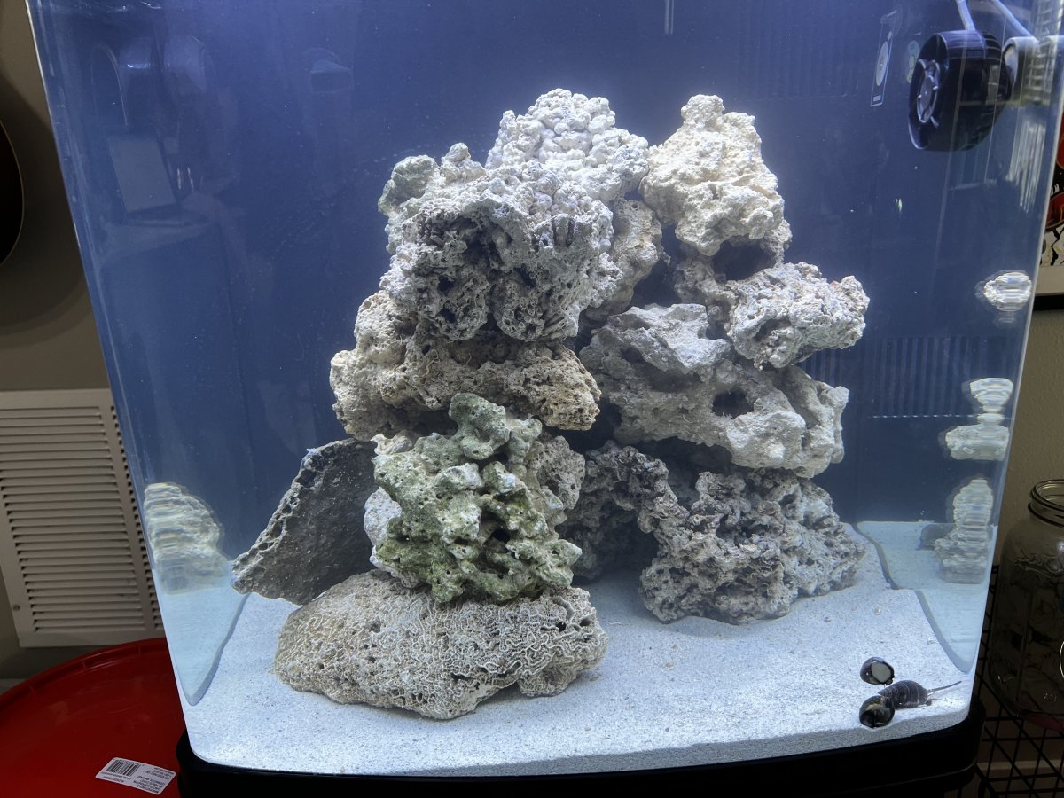 Nano Build - 7of9’s 32g Borgcube Biocube | Page 5 | Reef2Reef