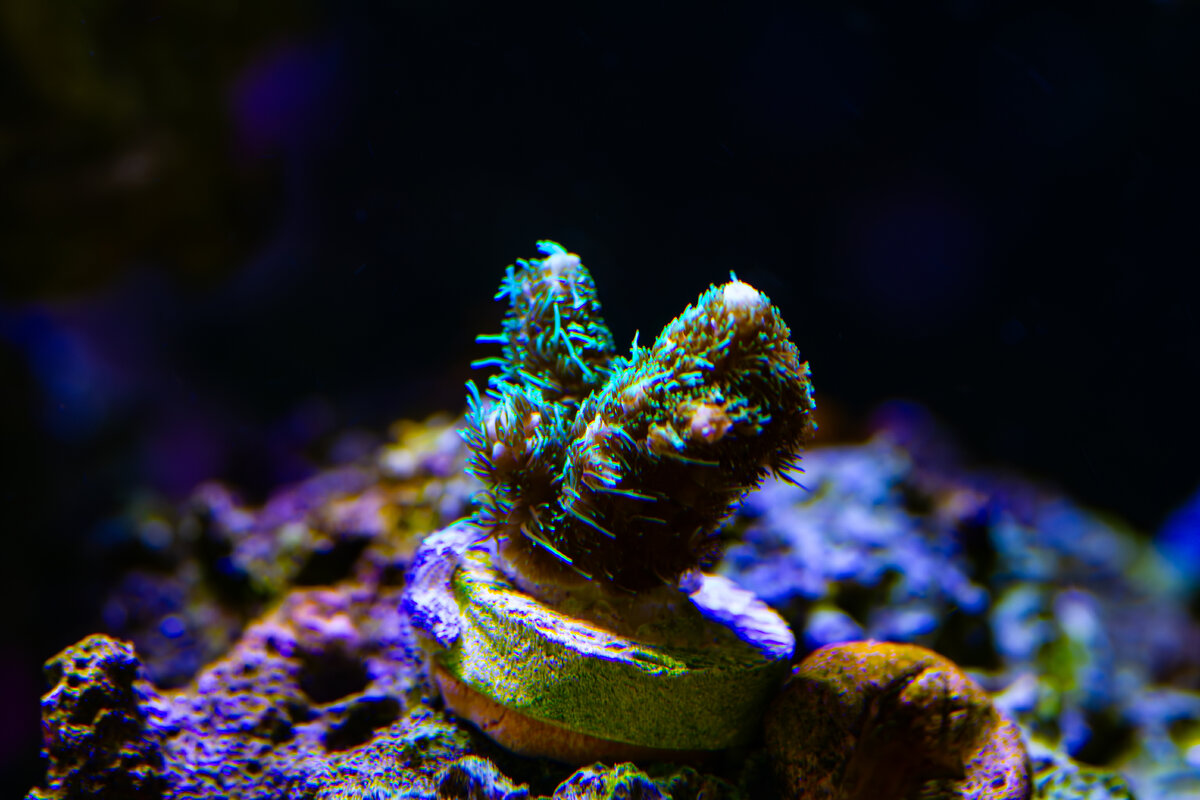IMG_7662.jpg