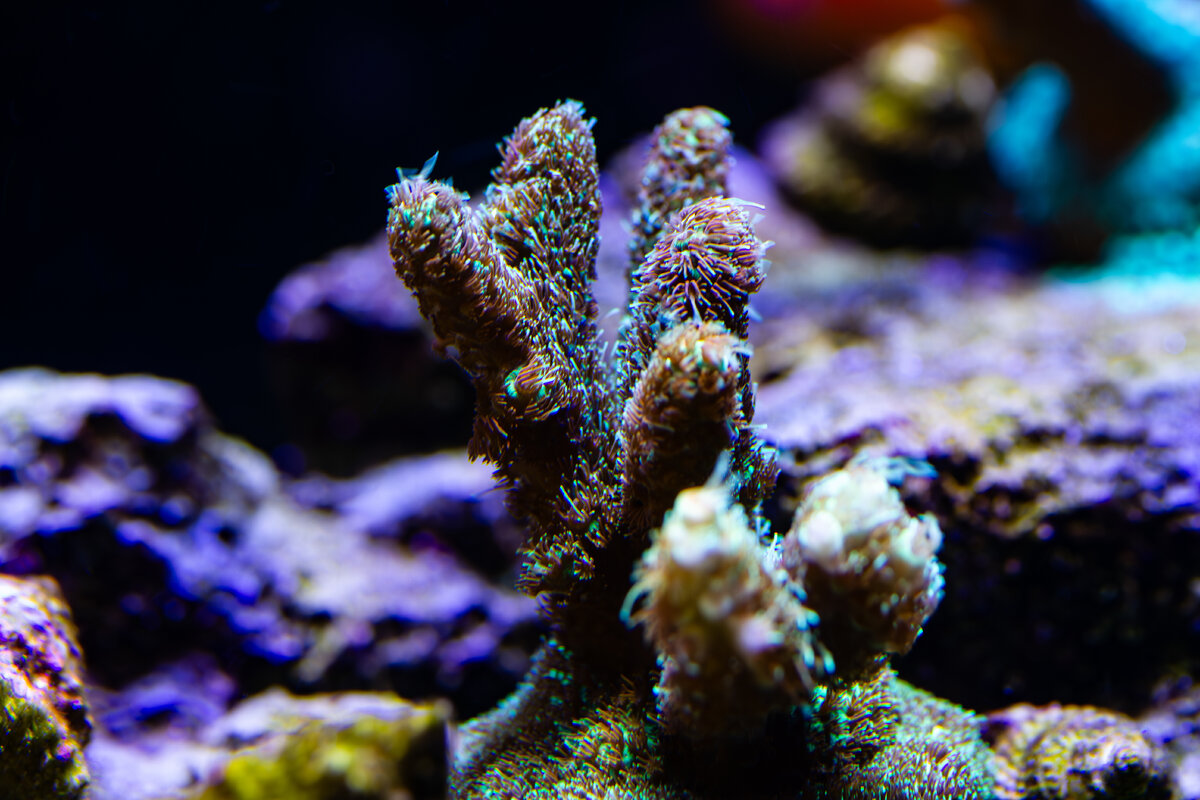 IMG_7664.jpg