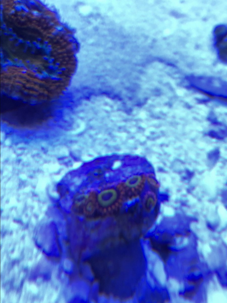 IMG_7665.JPG