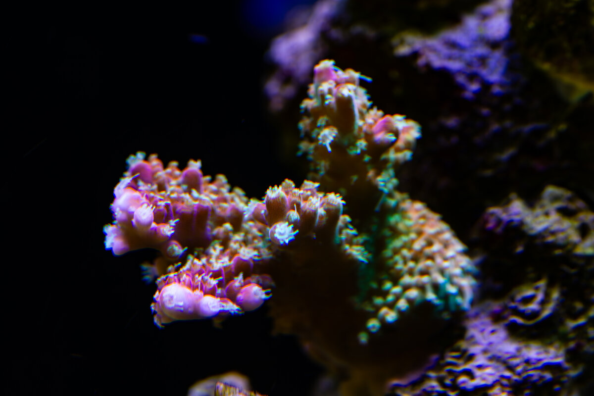 IMG_7667.jpg