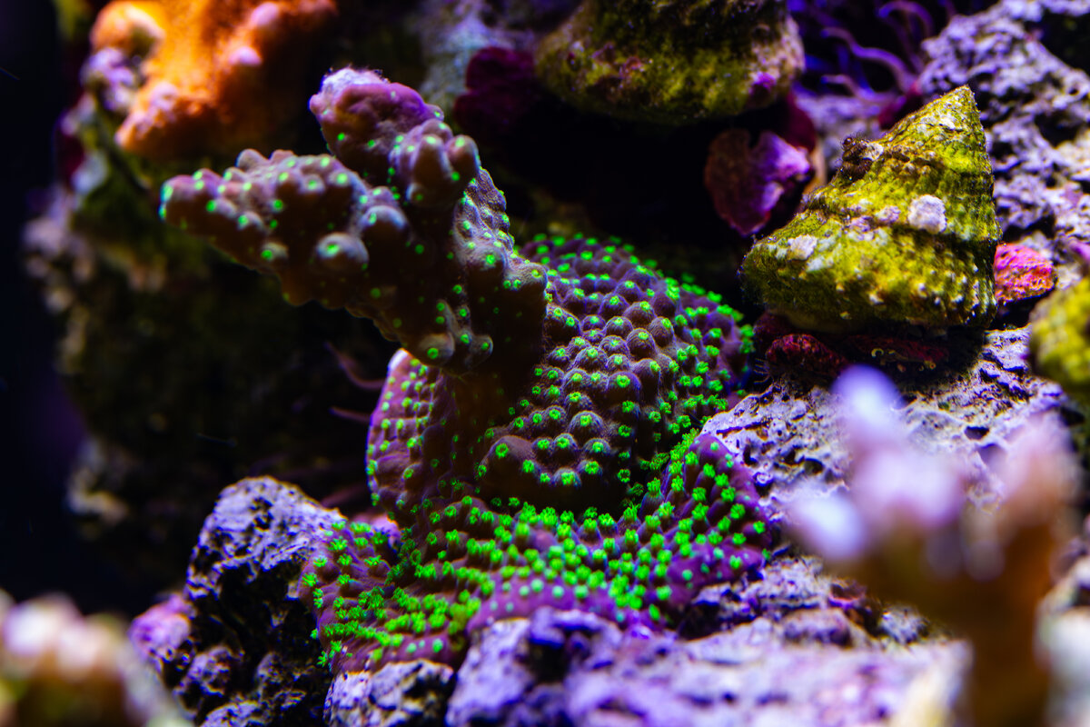 IMG_7670.jpg