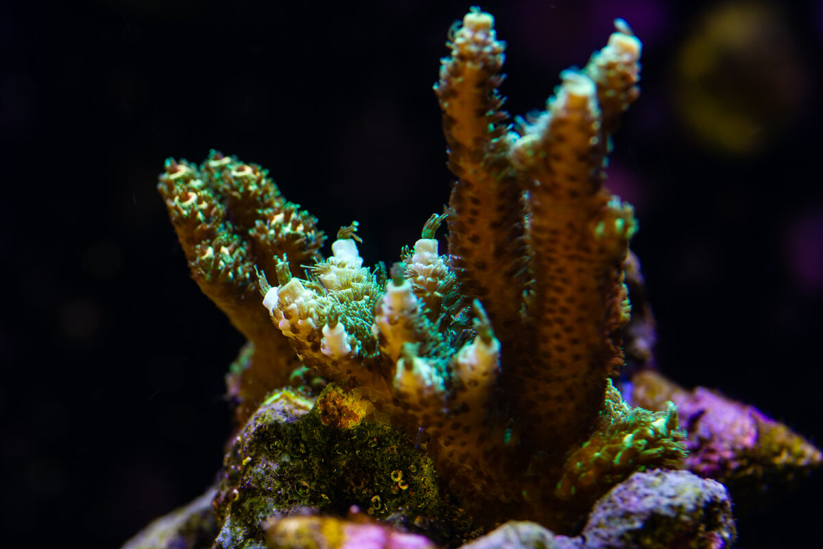 IMG_7675.jpg