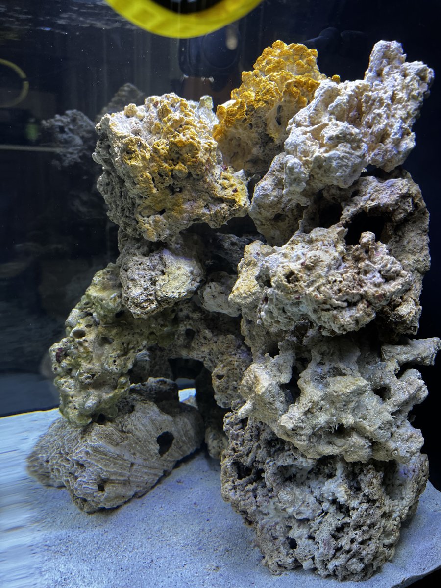 Nano Build - 7of9’s 32g Borgcube Biocube | Page 7 | Reef2Reef