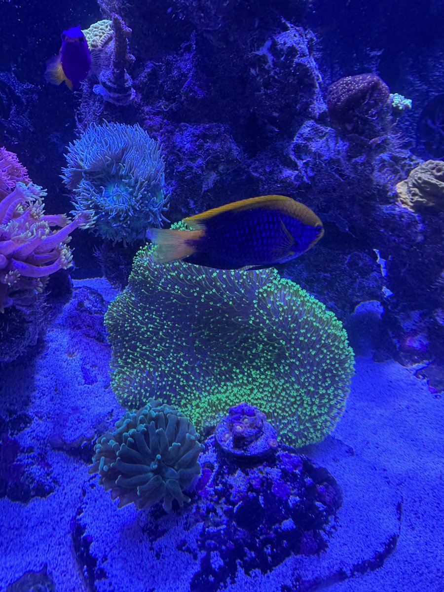 IMG_7686.jpeg
