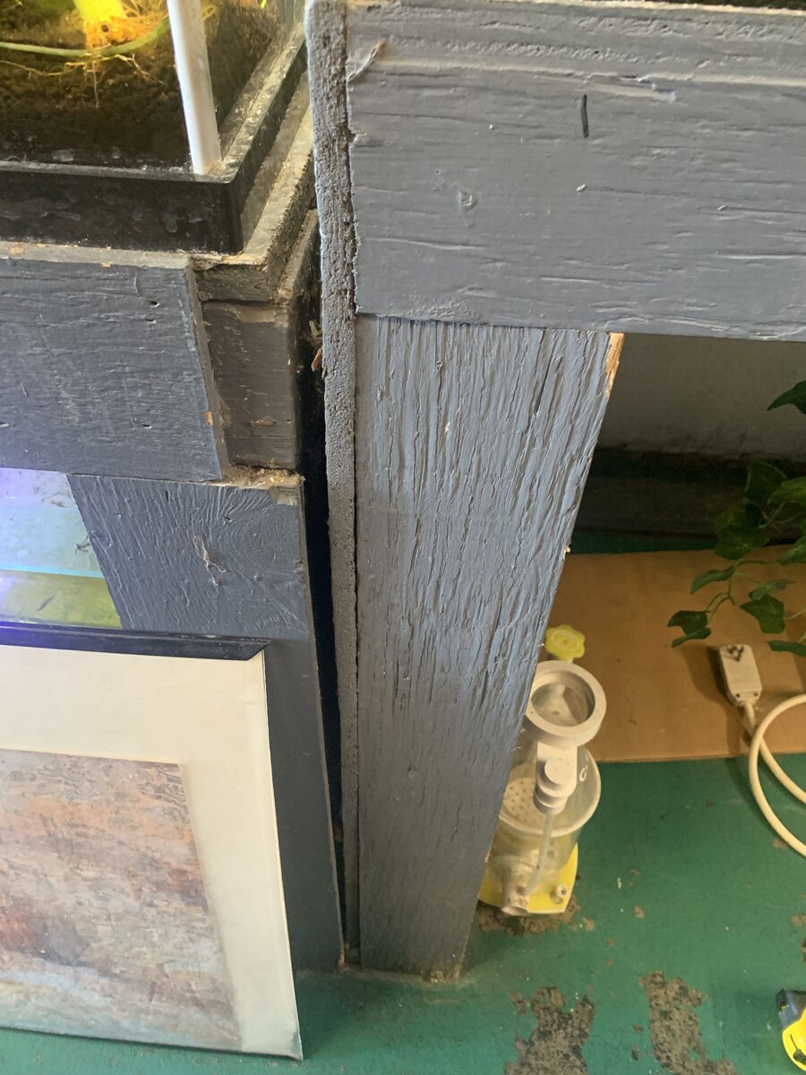 IMG_7688.jpeg
