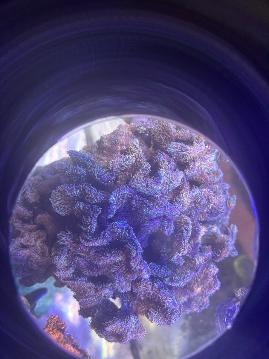 IMG_7712.jpeg