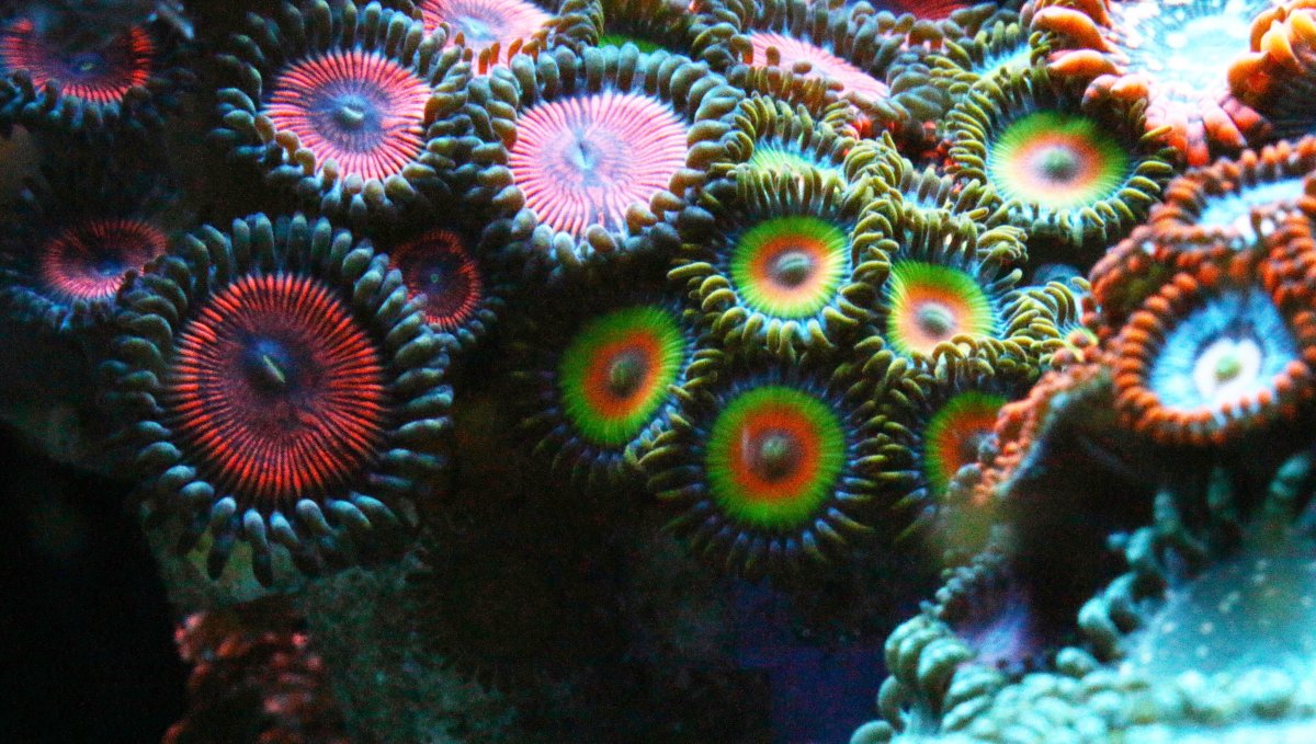 IMG_7714.JPG