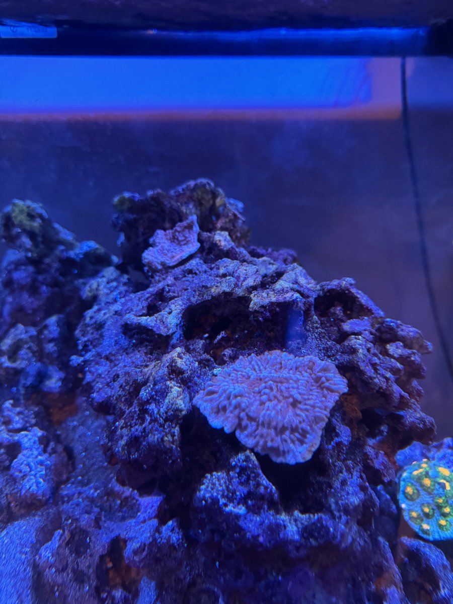 IMG_7717.jpeg