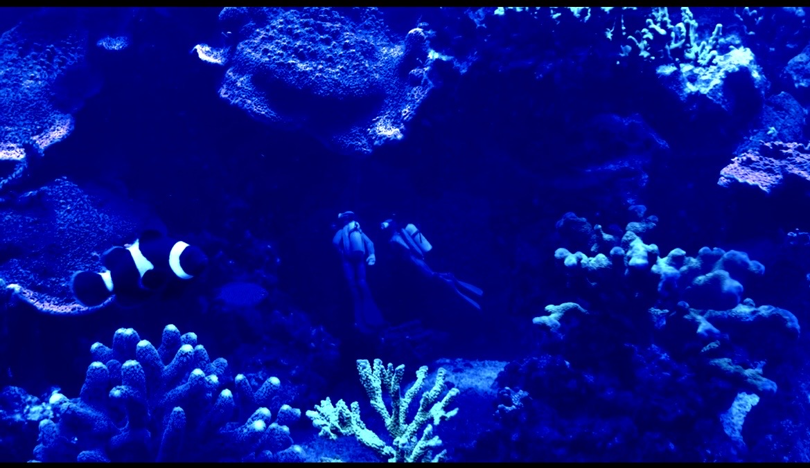 IMG_7747.jpeg