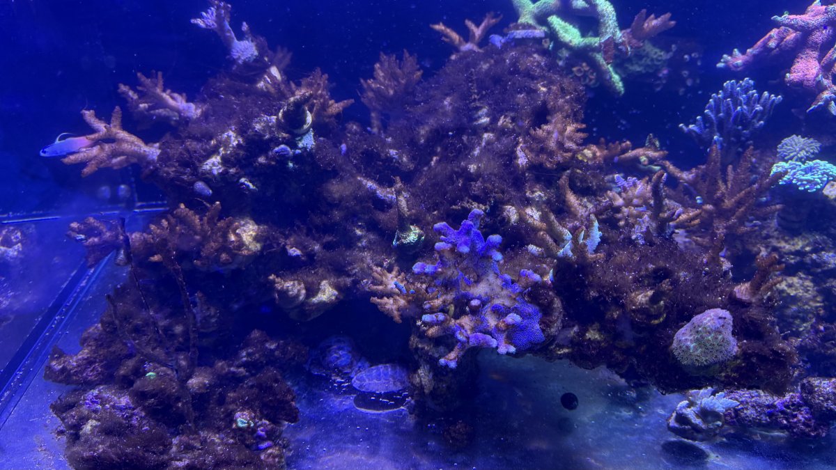IMG_7754.jpeg