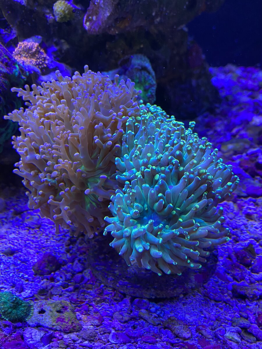 IMG_7764.JPEG