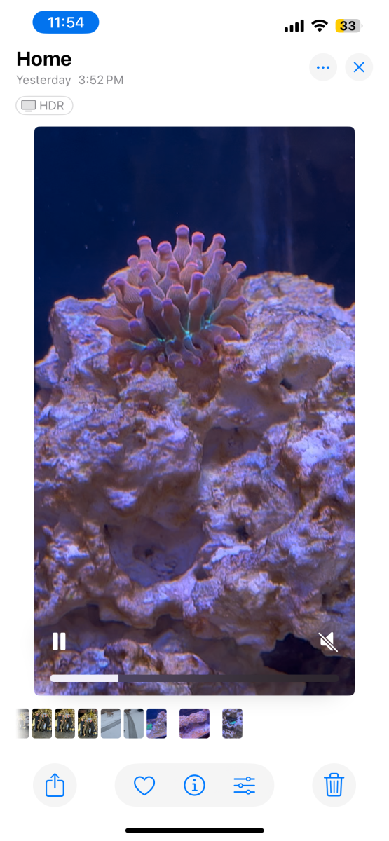 IMG_7805.PNG