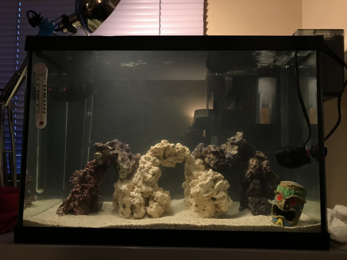 What is the best way to glue your live rock?  REEF2REEF Saltwater and Reef  Aquarium Forum