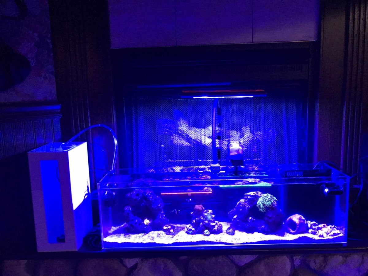 New Jersey 12 Gallon Long Aquamaxx With Ocean Box Aio Reef2reef Saltwater And Reef Aquarium Forum