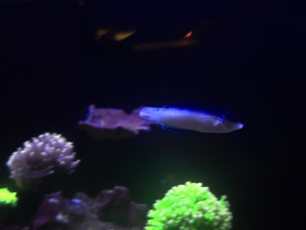 IMG_7842.jpeg