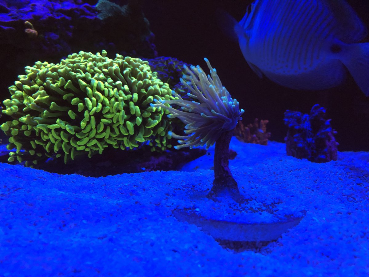 IMG_7847.jpg