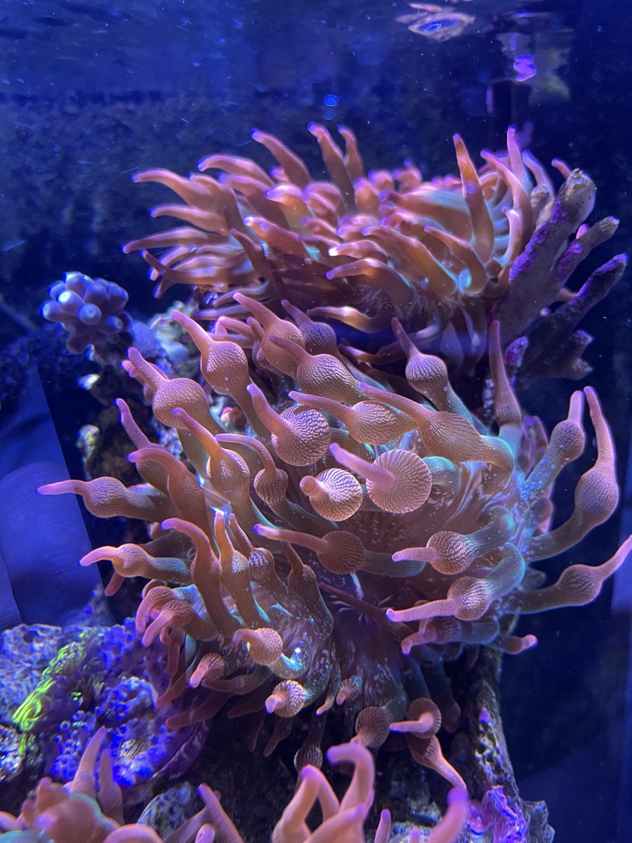 IMG_7847.jpg